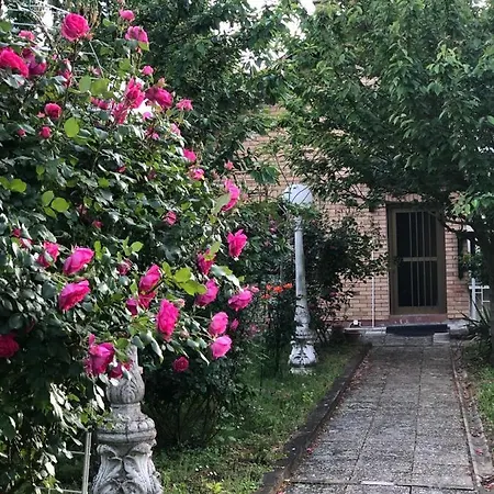 Villa Elita - Bela Crkva Bela Crkva  Exterior photo