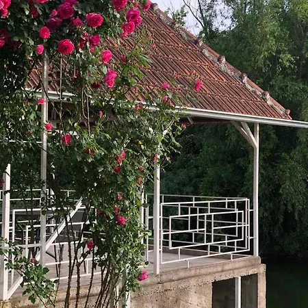 Villa Elita - Bela Crkva Bela Crkva  Exterior photo